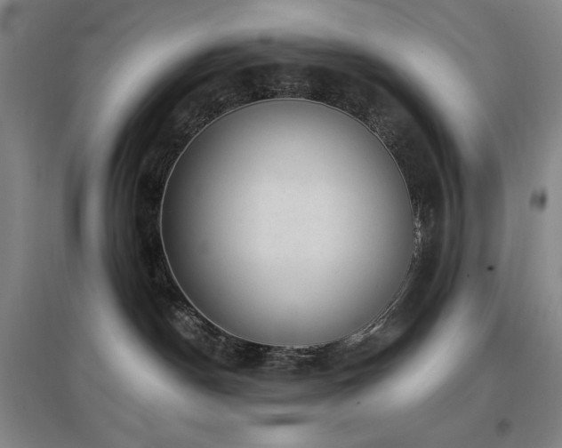 X0000097610190200802291311