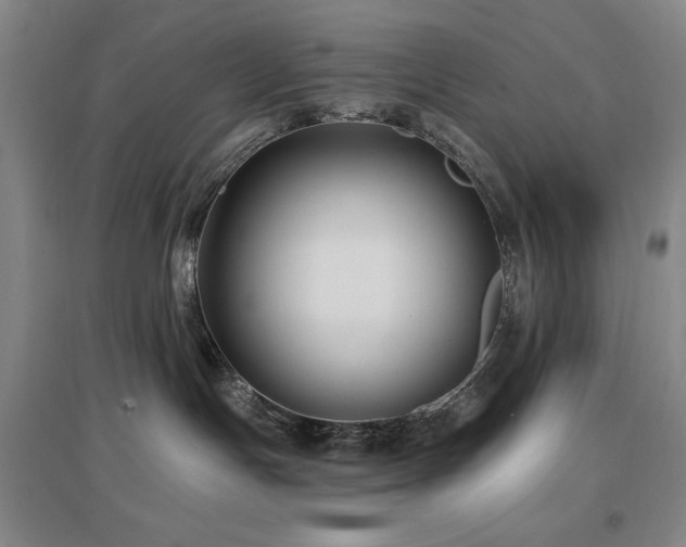 X0000097610191200802291311