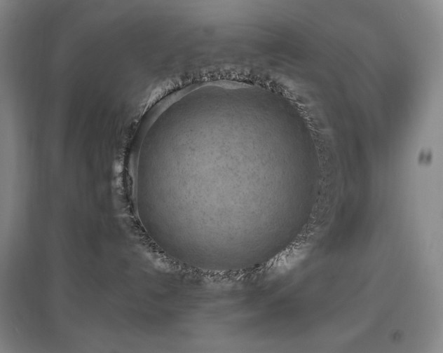 X0000097610192200802291311