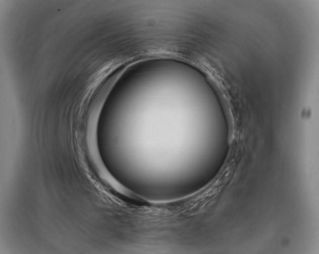 X0000097610193200802291310
