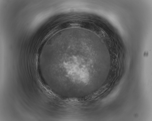 X0000097610194200802291310