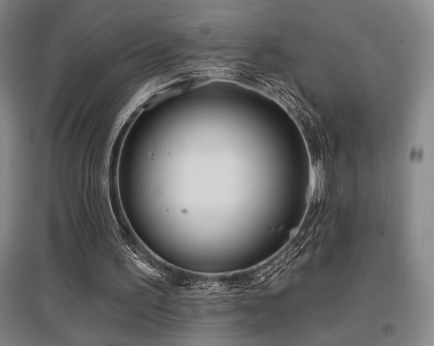 X0000097610195200802291310