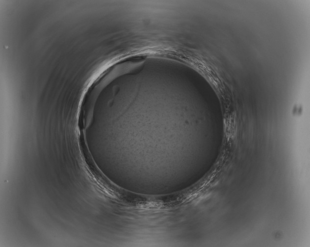 X0000097610196200802291310