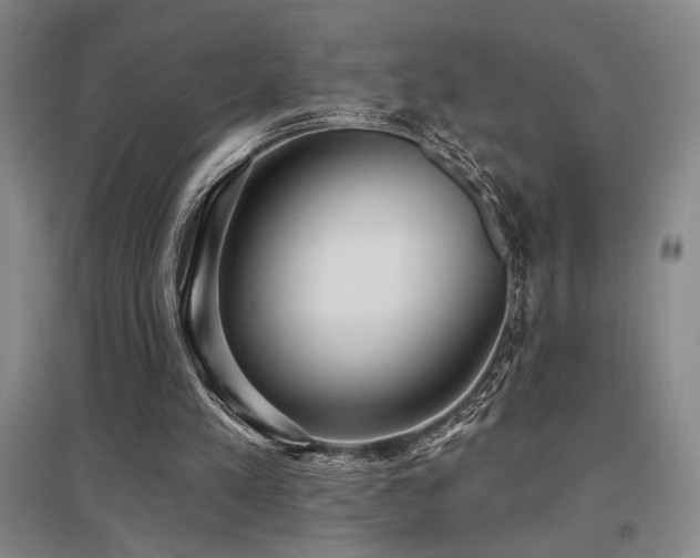 X0000097610197200802291310