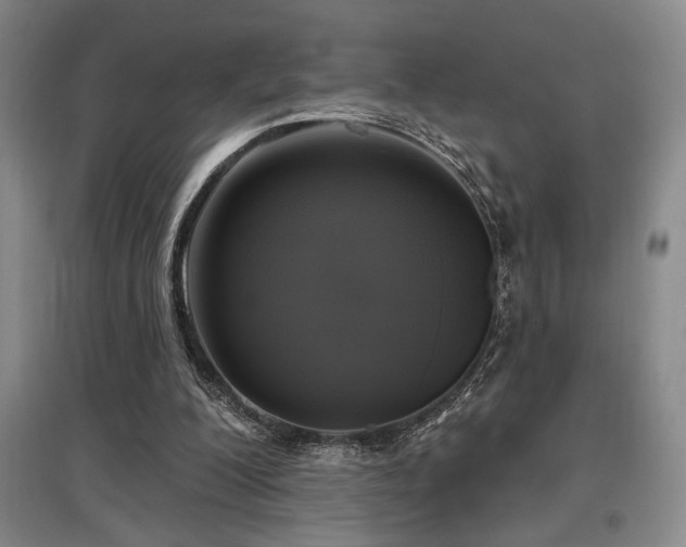 X0000097610200200802291310
