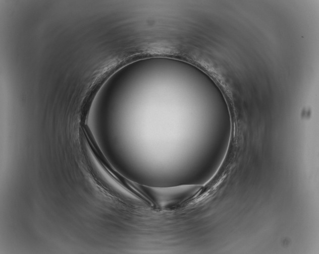 X0000097610201200802291310