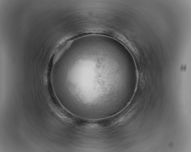 X0000097610203200802291310