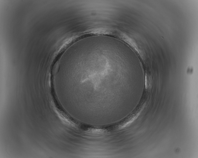 X0000097610205200802291310