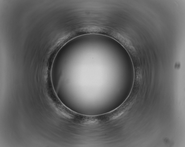 X0000097610206200802291310