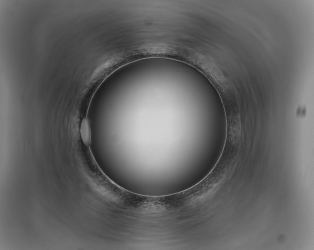 X0000097610207200802291310