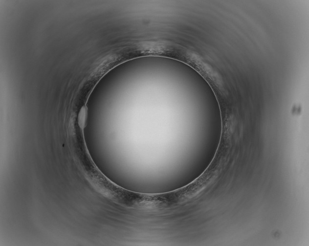X0000097610209200802291310