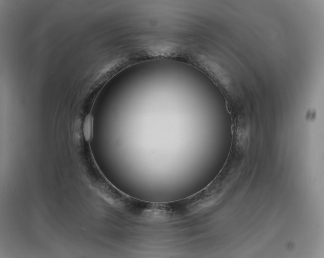 X0000097610211200802291310