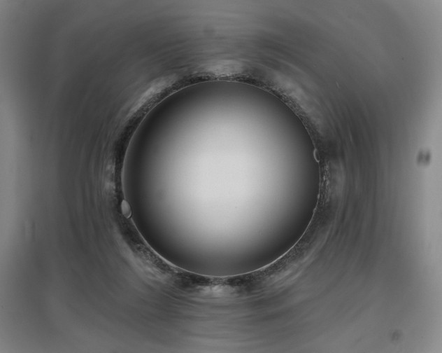X0000097610212200802291310