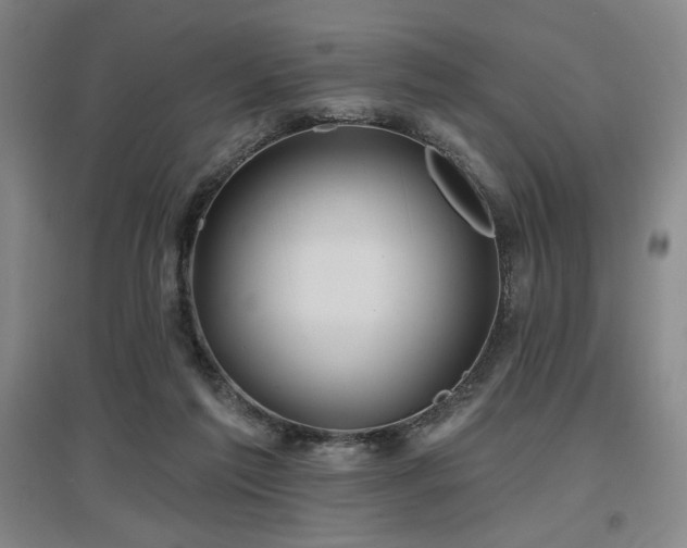 X0000097610213200802291310