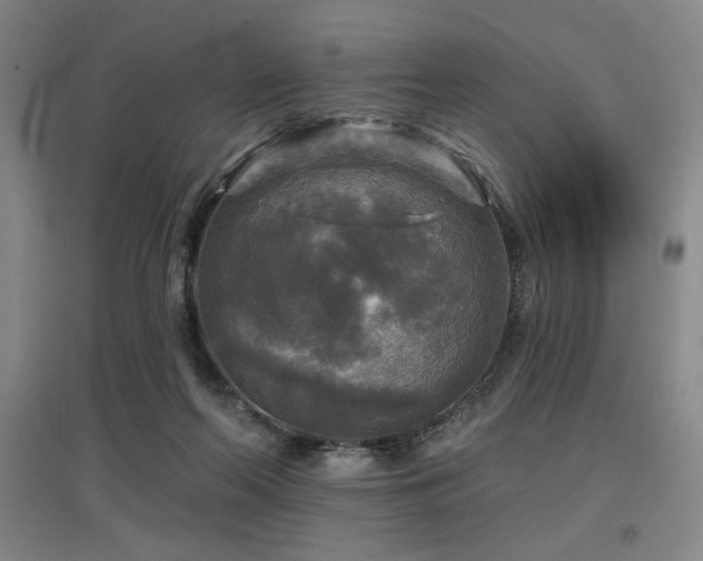X0000097610214200802291310
