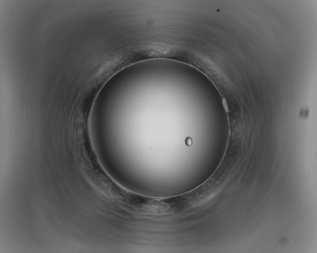 X0000097610215200802291310