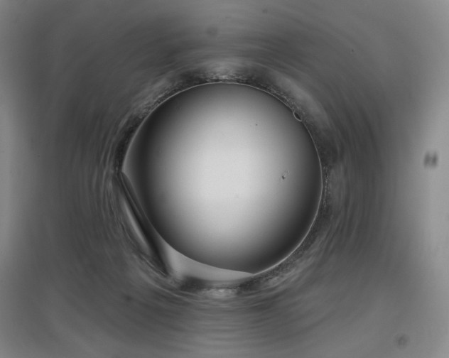 X0000097610217200802291310