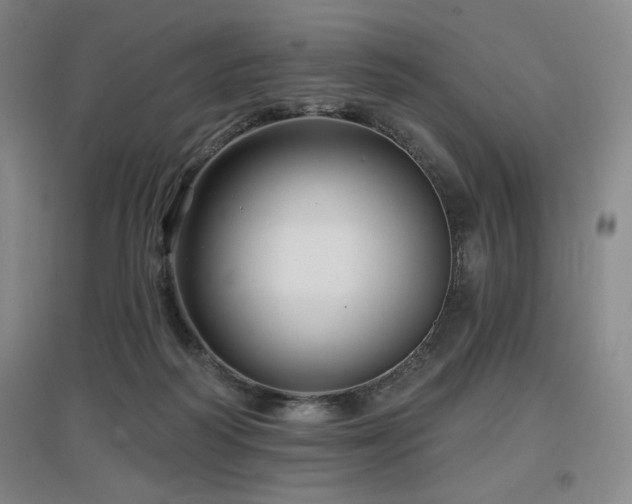 X0000097610218200802291310