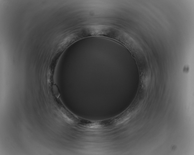 X0000097610219200802291310