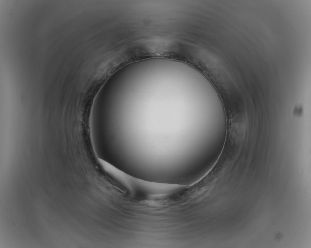 X0000097610221200802291310