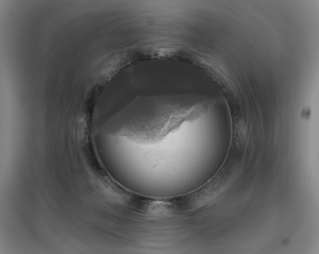 X0000097610222200802291309