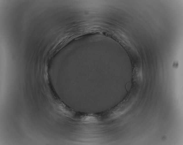 X0000097610224200802291309