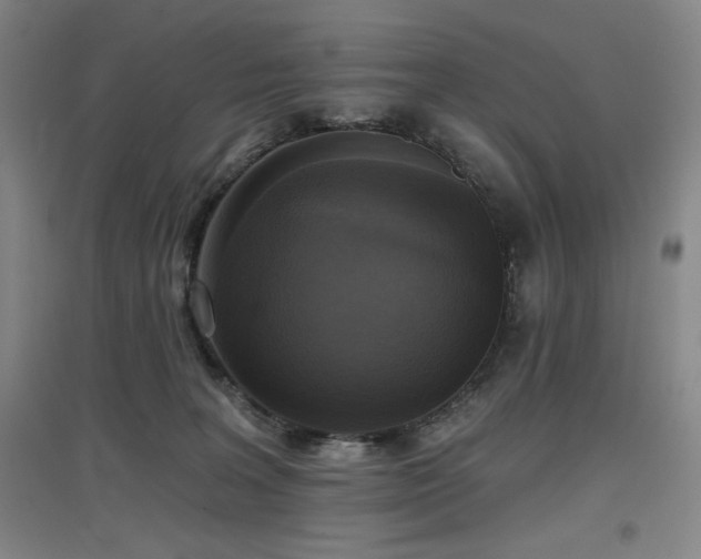 X0000097610227200802291309
