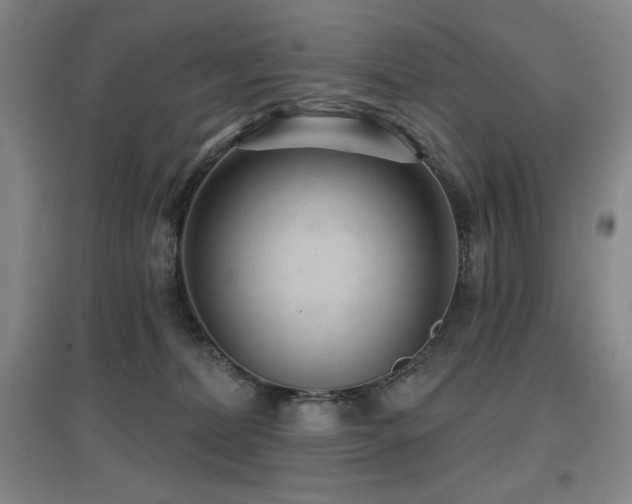 X0000097610228200802291309