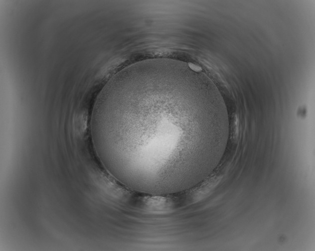 X0000097610230200802291309