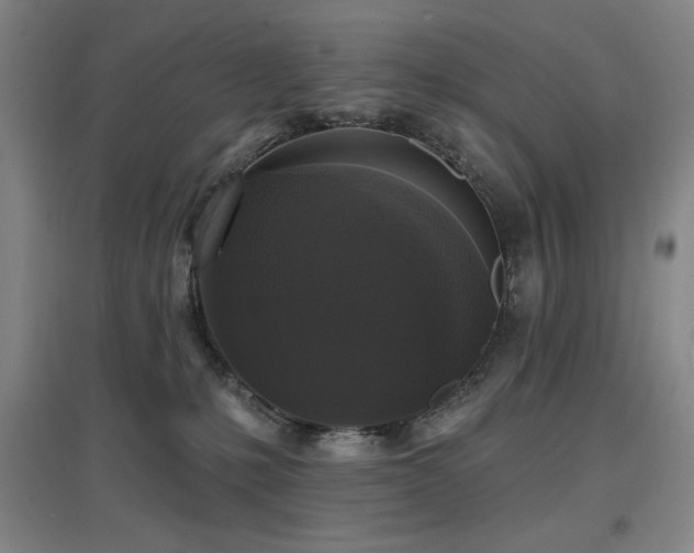 X0000097610231200802291309