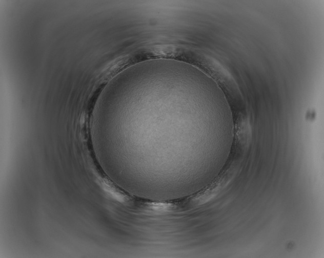 X0000097610233200802291309