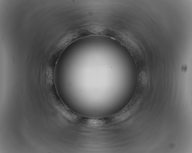 X0000097610234200802291309