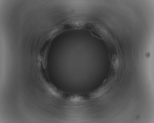 X0000097610235200802291309