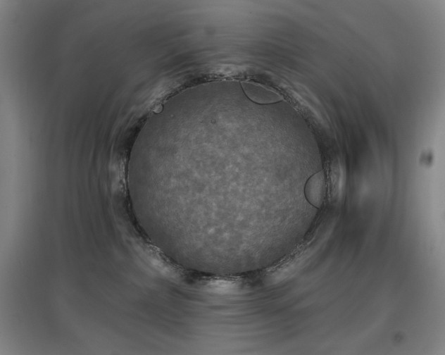 X0000097610236200802291309