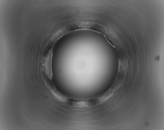 X0000097610237200802291309