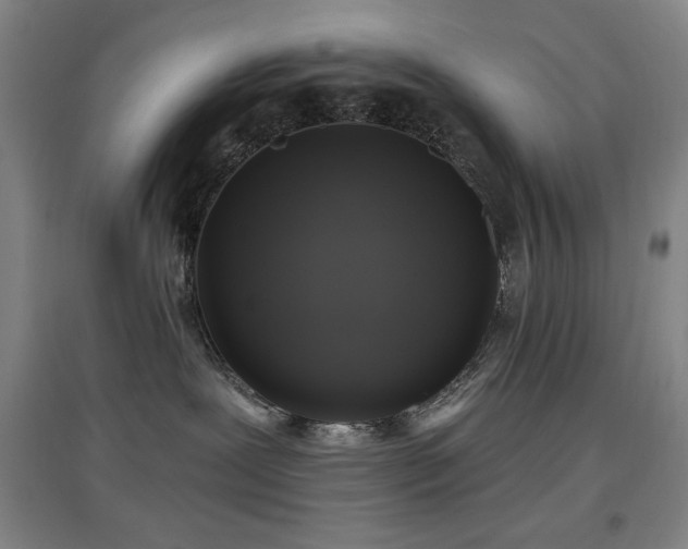 X0000097610239200802291309
