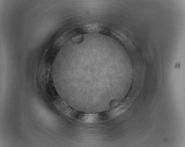 X0000097610240200802291309