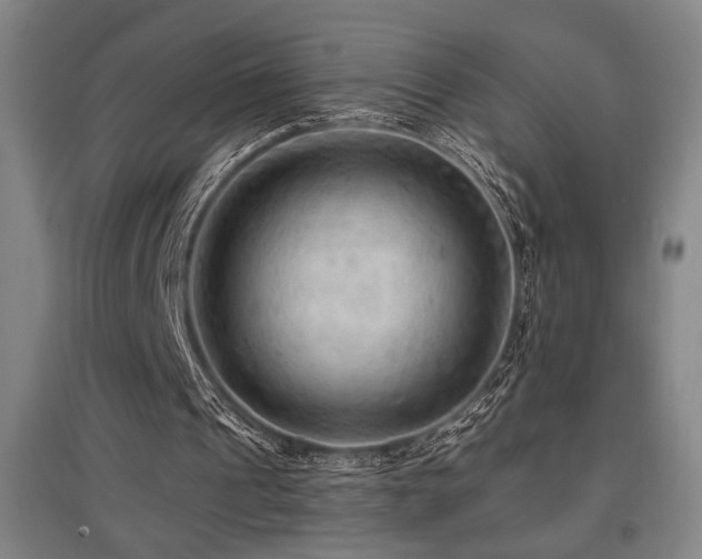 X0000097610241200802291308