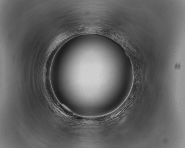 X0000097610242200802291308