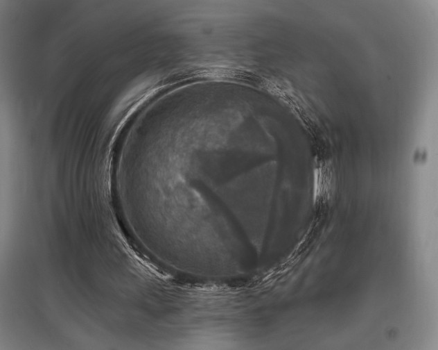 X0000097610243200802291308