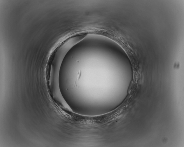 X0000097610244200802291308