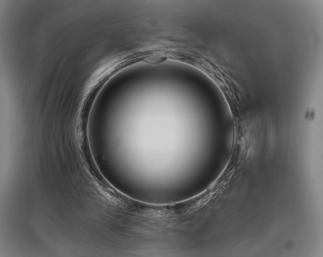 X0000097610245200802291308