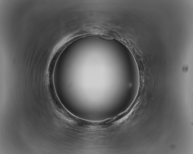 X0000097610246200802291308