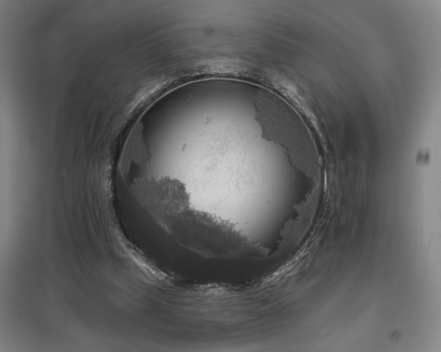X0000097610249200802291308