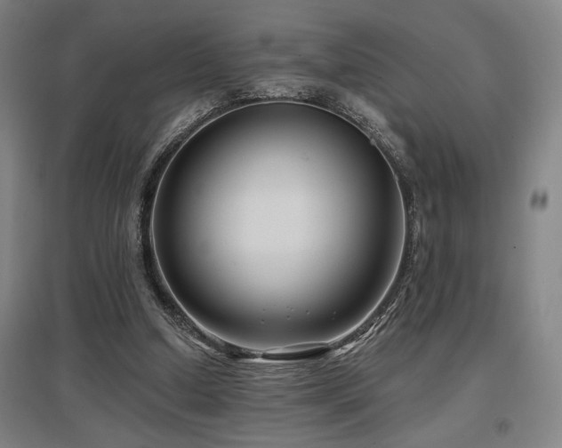 X0000097610250200802291309