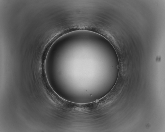 X0000097610251200802291309