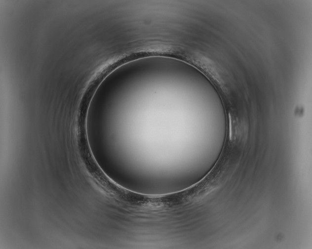 X0000097610252200802291309