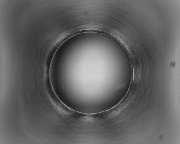 X0000097610253200802291309