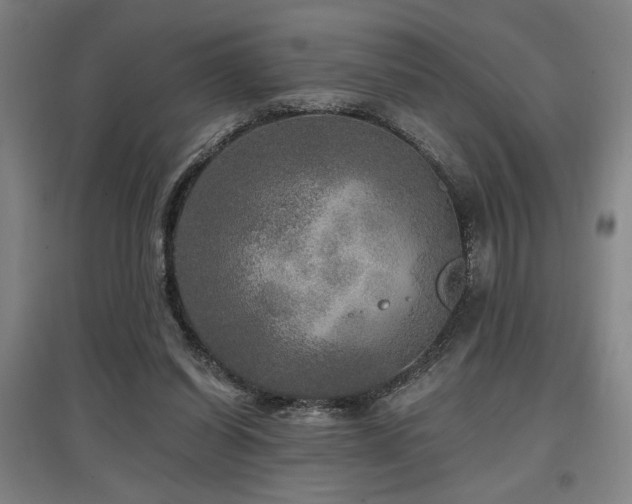 X0000097610254200802291309