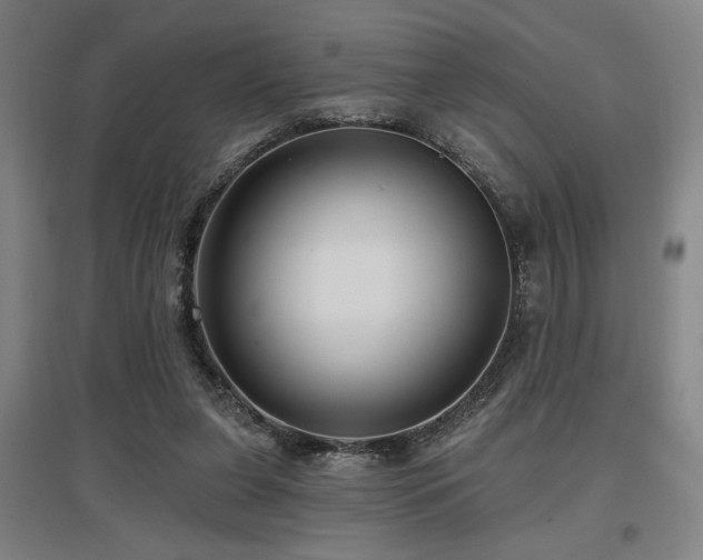 X0000097610255200802291309